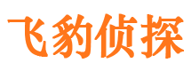 龙华市侦探公司